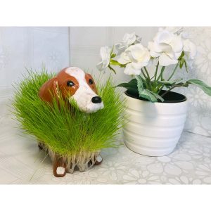 Рошлинки-Куче-2
